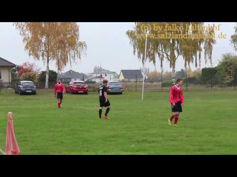 WSG 10 Schönebeck - SV B-W Etgersleben
