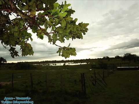 FG Chaparralitos de Arauca - Francisco Montoya