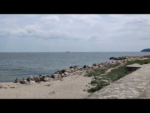 Oppo Reno 10x Zoom 1080p 30fps Sample Video