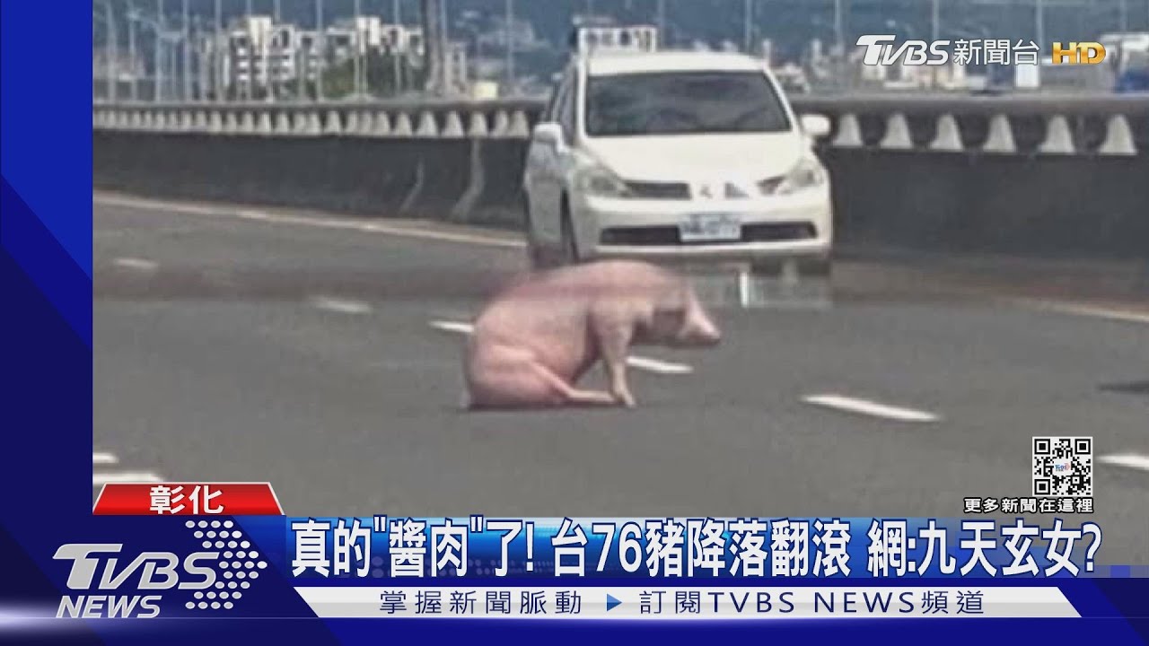 真的「醬肉」了!台76豬降落翻滾 網:九天玄女?
