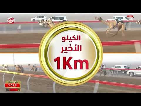 ش 4 (الماهر) لـ حميد سالم بن محمد ساعد الدرعي 4:34:23 ، مهرجان العين 2026/07/06 حقايق الروضة