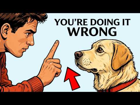 5 Basic Commands Every Dog Should Know