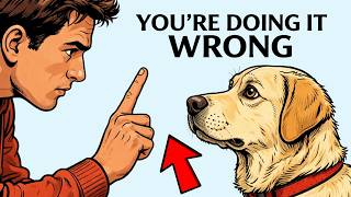5 Basic Commands Every Dog Should Know