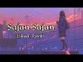 Sajan Sajan Teri Dulhan Slowed Reverb Pihusrivasatavavlogs 17