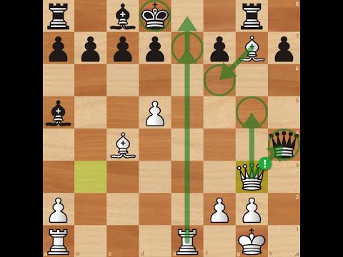 Robert James Fischer vs Reuben Fine.Hunt for the Queen or the King!Very quick win from Fisher#chess