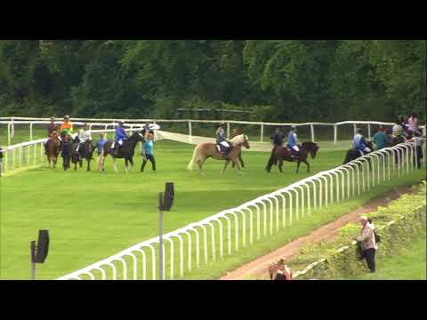 Galopprennbahn Dresden - 03.09.2017 - 1.Rennen