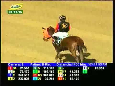 Resumen Domingo, 01 de Noviembre de 2015 - La Rinconada