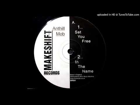 Anthill Mob - In The Name (Makeshift Records - MR001)