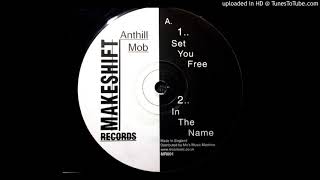 Anthill Mob - In The Name (Makeshift Records - MR001)
