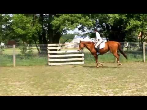 »»Bridleless Riding & Jumping ღ Endlessly