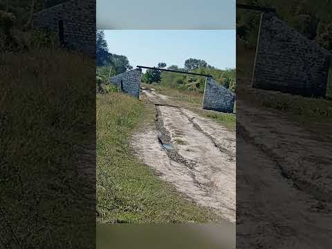 la gallareta santa fe argentina