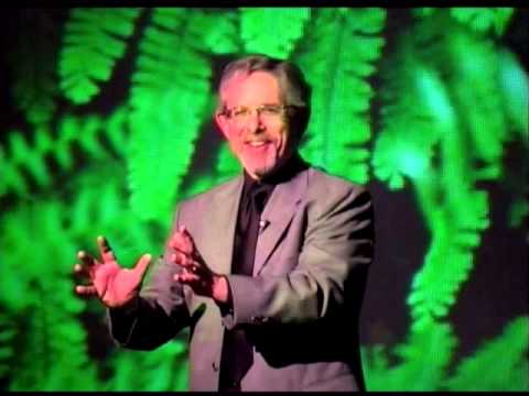 Striving for Imperfection: Finding Happiness as an Imperfect Being: Scott "Q" Marcus at TEDxEureka