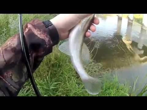 С джигом по вечерней Клязьме