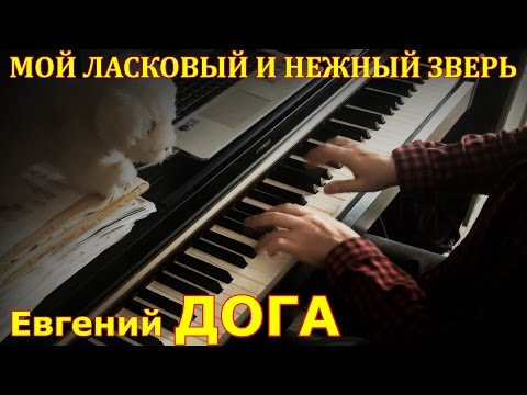 Мой ласковый и нежный зверь - Евгений Дога