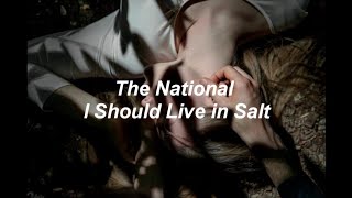 The National - I Should Live in Salt (Sub. Español)