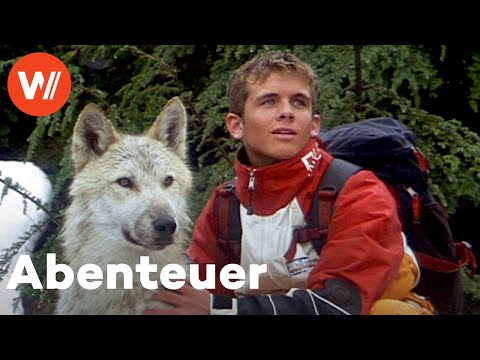 Silver Wolf - Eisige Jagd | Ganzer Spielfilm mit Roy Schneider, Shane Meier und Michael Biehn