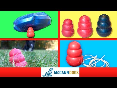 4 OTHER Things You Need To Try With Your Kong Dog Toy