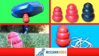 4 OTHER Things You Need To Try With Your Kong Dog Toy