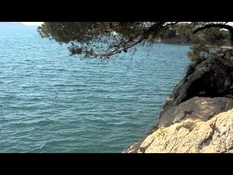 VEDRAN IVCIC ludo more