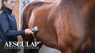 AESCULAP® Battery Clippers Bonum