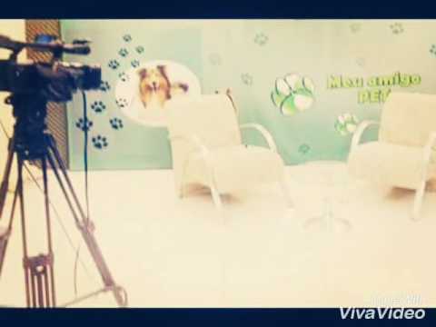 Especial 1 Ano Programa MEU AMIGO PET TV GUARULHOS - Apresentadora Ariane Gusmão