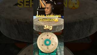 Download lagu MANCING IKAN ❌MANCING KERIBUTAN ☑️  #gustidju #shorts  #reaction #meme #lucu mp3