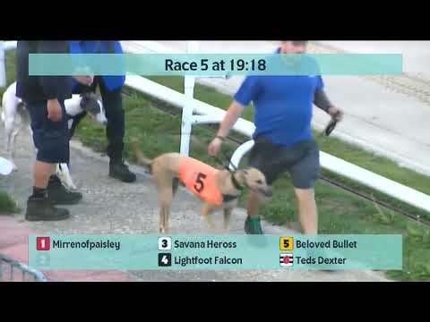 Saturday 15th July 2023 - Coral Sussex Cup & Premier Greyhound Racing Regency Heats