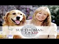 Sue Thomas FB Eye Season 2 Episode 01 Cold Case