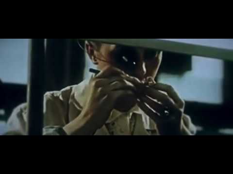 Sarmacja - Centrum pogranicza