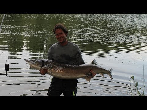 #3 Angeln auf Stör mit Nobbi am See der Giganten  - Teil 1