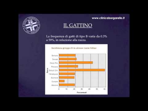Farmaci di base in osteocondrosi Artrosi 2 gradi della spalla esercitazioni congiunte
