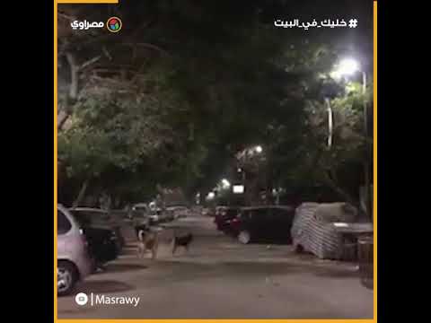 ميدان التحرير هادئ في ليلة شم النسيم بسبب كورونا