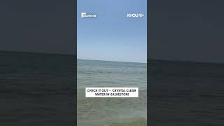 Check it out -- crystal clear water in Galveston