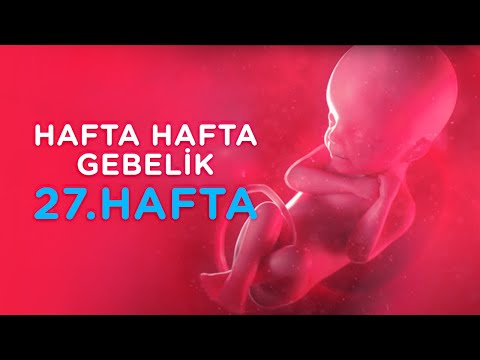 Hamilelikte 27. Hafta - Hafta Hafta Gebelik | İlk Adımlarım