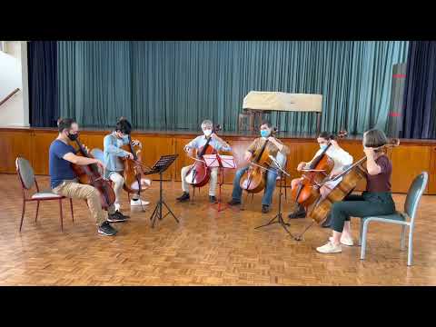 Cello version - violinists from the world over in support of Ukraine.