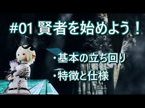 サルビア・オフィシナリス