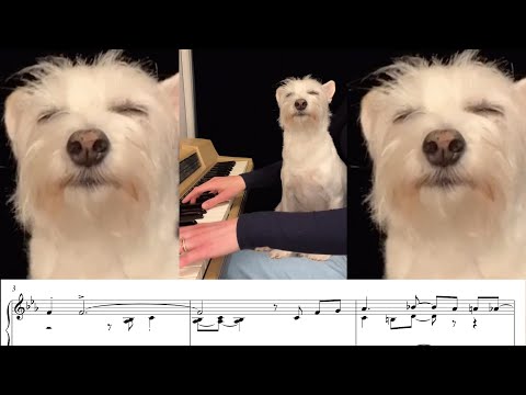 the most distinguished jazz gentleman