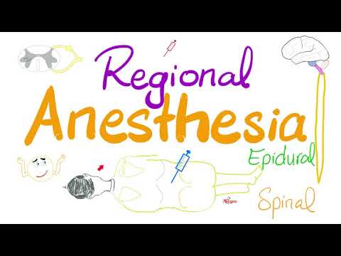 Epidural Anesthesia & Spinal Anesthesia | Regional Anesthesia