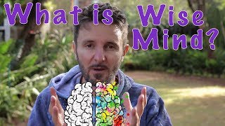 What is Wise Mind? Good News for the Week - 09 July 2018