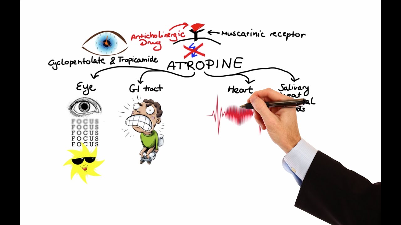 Pharmacology - ANTICHOLINERGIC & NEUROMUSCULAR BLOCKING AGENTS (MADE EASY)