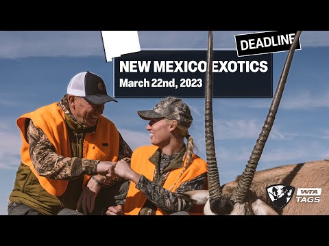 Master the Draw for Oryx, Ibex, and Barbary Sheep in New Mexico | Worldwide Trophy Adventures