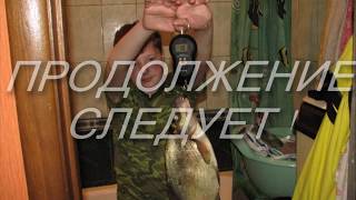 Рыбалка отчет сенеж