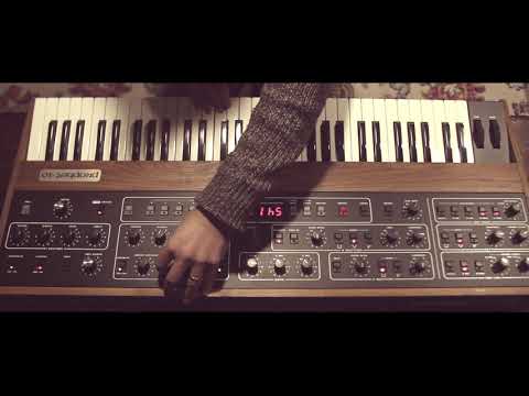 Sequential Prophet 10 REV4 | The surface