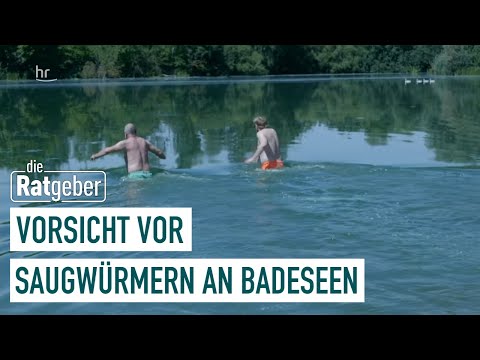 Saugwürmer in Badeseen - Was tun gegen die Parasiten | Die Ratgeber