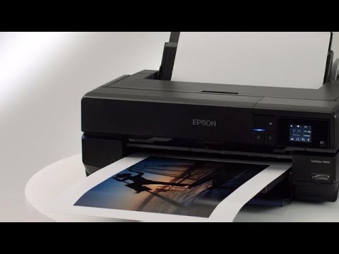SCP800SE | SureColor P800 Printer Large Format | Printers | For Work | US