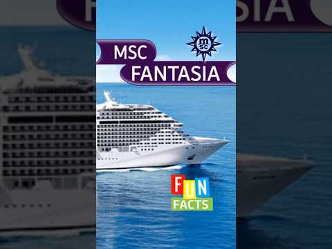 Thumbnail for I Wish I Knew This Before I Cruised on MSC Fantasia. #holiday #cruise #travel
