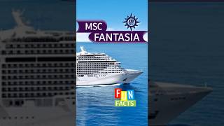 I Wish I Knew This Before I Cruised on MSC Fantasia. #holiday #cruise #travel