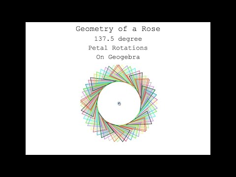 How a Rose Grows - Rotations of 137.5 degrees to make a fibonacci spiral - on a Geogebra