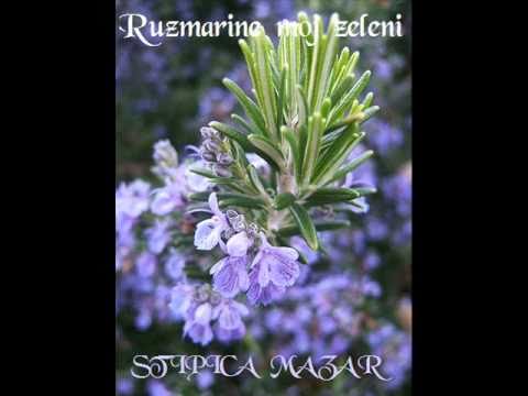 Ruzmarine moj zeleni - Stipica Mazar.wmv