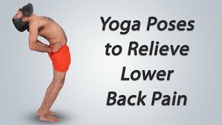 Yoga Poses to Relieve Lower Back Pain